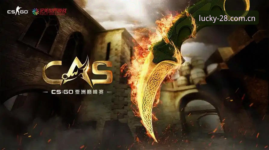 锁定赛事入口：Official登录通道的四个实用决策点